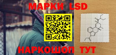 дмт Краснодар