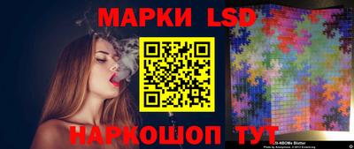 дмт Краснодар