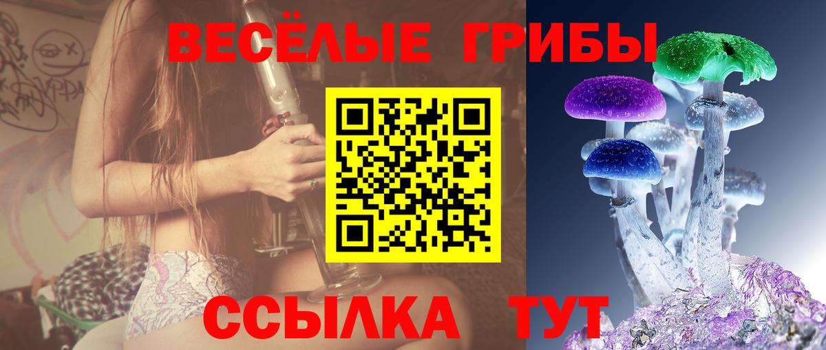 Зерноград  Галлюциногенные грибы Magic Shrooms  где найти наркотики  Вход с VPN  Галлюциногенные грибы мухоморы 